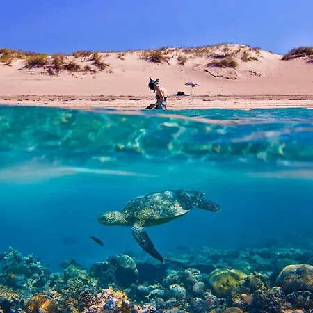 بيت للعطل Tortuga Dafni Bay Diver's Paradise By 